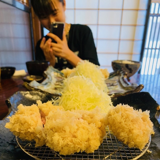 とんかつ新わかさ観光ガイド - 若桜町観光協会 〜ぷらっと若桜 わかさ にきんさいな