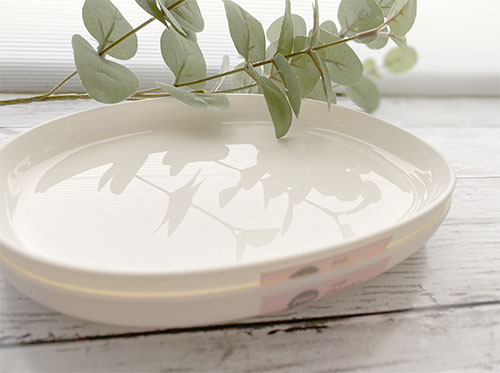 離乳食にぴったりなセリアの可愛いお皿TikTok