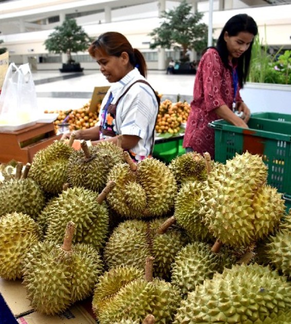 写真 独特の香りがぷわ〜ん “世界一臭い果物”ドリアン味の月餅、お味は？文春オンライン