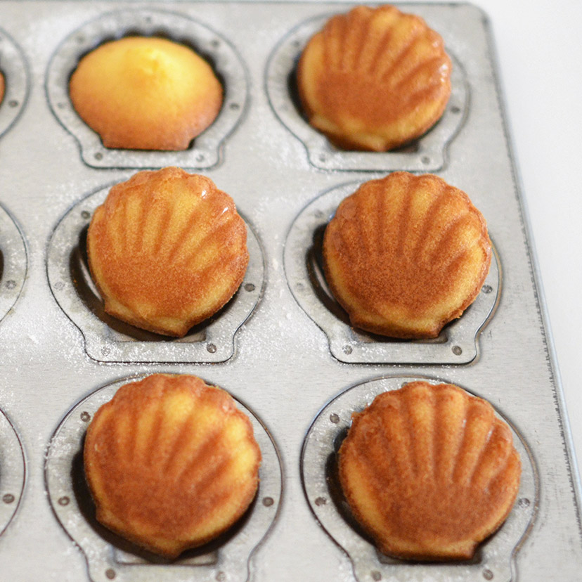 マドレーヌ型 スーパーシリコン加工マドレーヌシェル型 8P 浅井商店オリジナル : かっぱ橋 浅井商店 製菓製パン道具 - 通販 -Yahoo!ショッピング