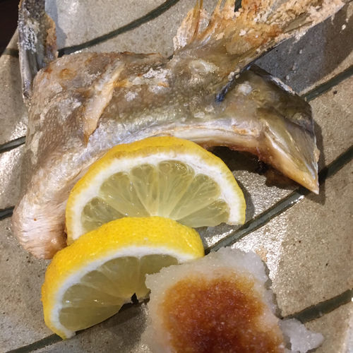 小さいカンパチの食べ方を考える能登のさかな