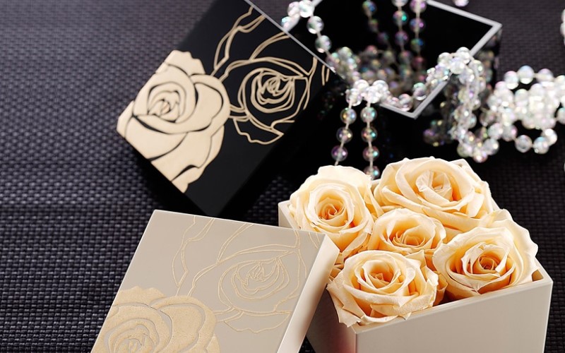 ビズビズ このコロンとしたおしゃれな赤バラの名前。 フランス語でbise bise。英語だとkiss kiss みたいな感じ。かわい♡ バラにもたくさんの名前があって、ひとつずつ楽しいんです🤭ビズビズ bisebise バラ rose バラの花束 バラのアレンジメント お花の定期便