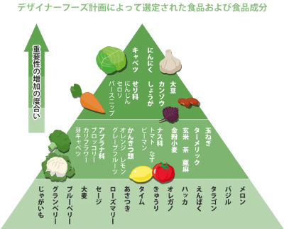 栄養指導Navi 学会分類2021を解説。早見表や嚥下ピラミッドを活用
