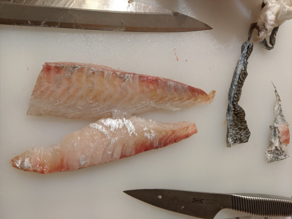 お手頃価格！脂の乗った めばち鮪