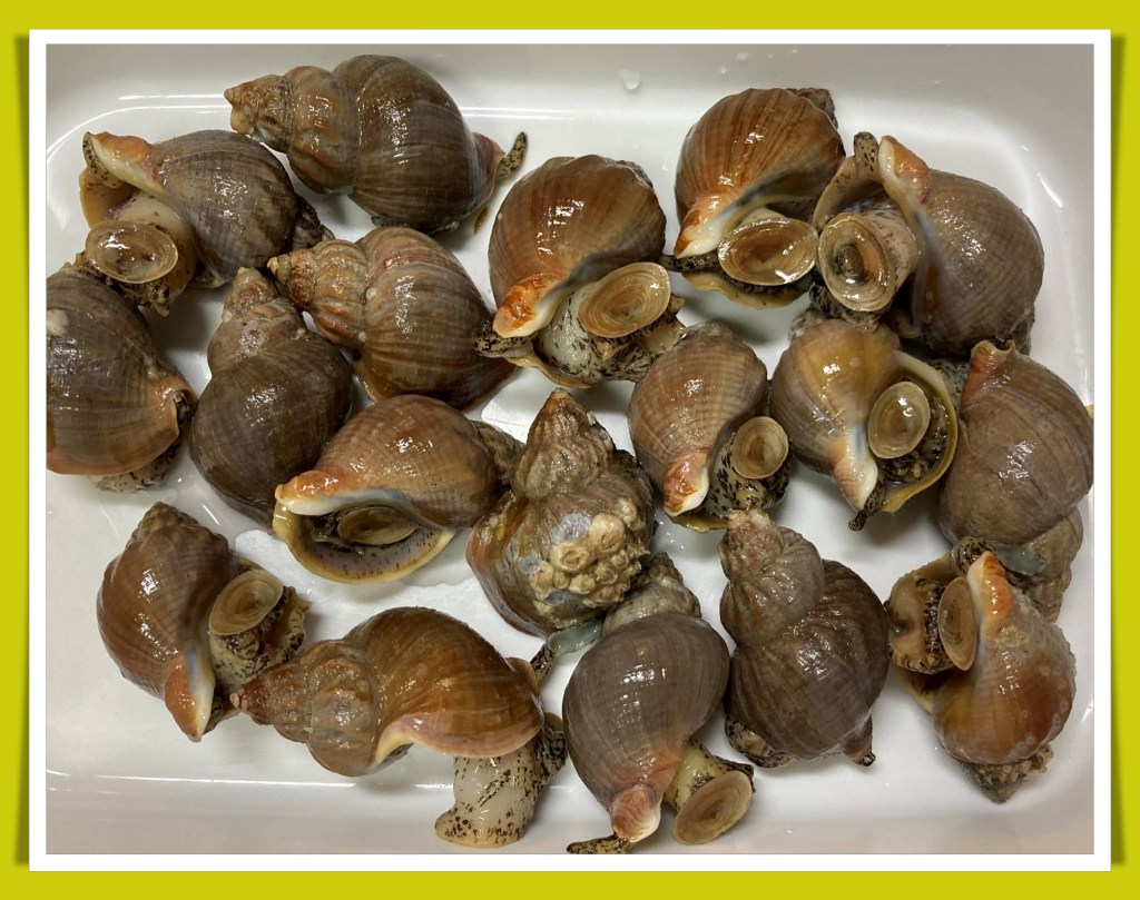 さんの料理 つぶ貝 磯つぶ 塩ゆで まる 丸大豆Snapdish スナップディッシュID:yeTCbaa