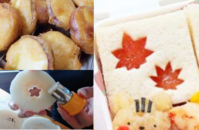 秋っぽいかわいいお弁当テンプレートの紹介💓