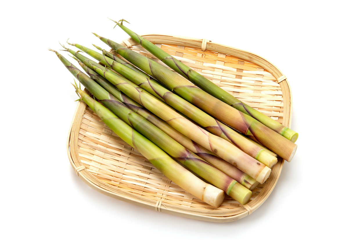 たけのこ 笹竹の子 簡単な処理の仕方〜 *^^*＊小樽『美容室Roots』のイロイロ＊