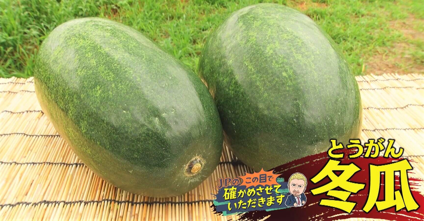冬瓜 トウガン丸友中部青果