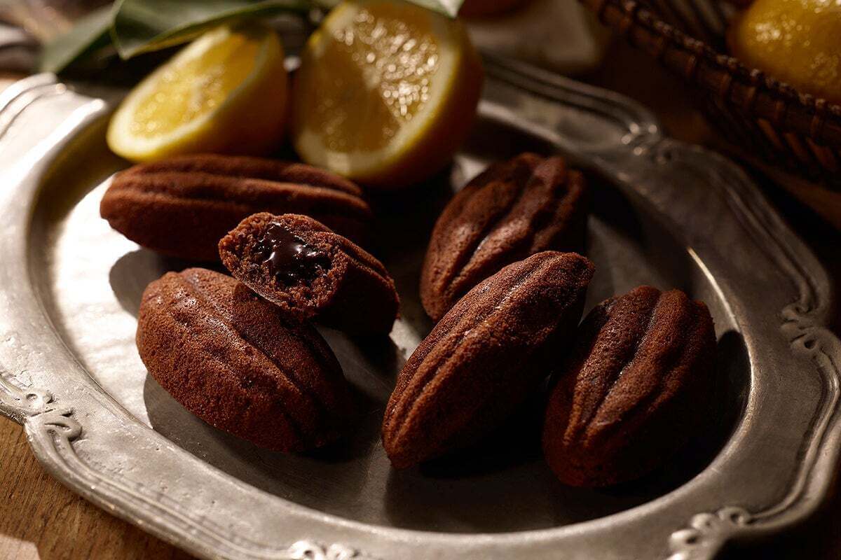 コートクール 公式on X: 