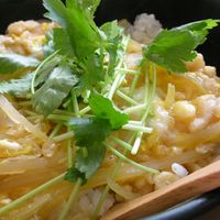 日テレ郡司恭子アナ「ひとりご飯なので簡単に」5品並んだ食卓公開「レシピ気になる」「真似したい」の声 - モデルプレス