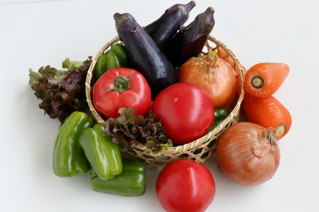 ナス科の苗 ナス・トマト・トウガラシ・ピーマン の育ちが遅い気がするが- 切り撮りLittle Garden