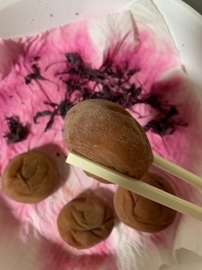 完全保存版 ジップロックで基本の梅干し作り。初めてでも失敗しないコツ