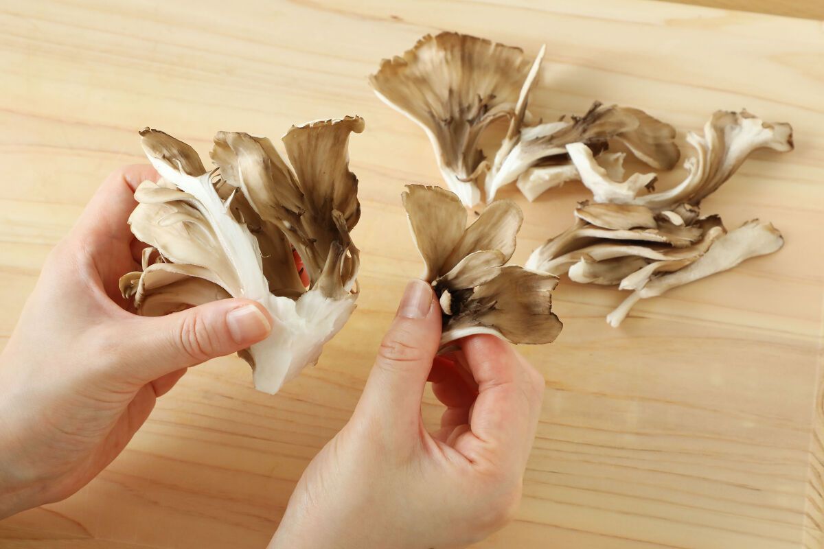 まいたけの切り方石づきはある？料理に合わせた切り方も紹介！コジカジ