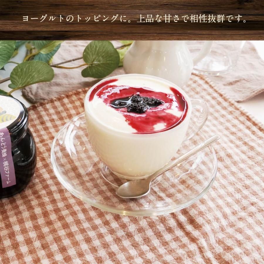 はちみつ イチジク マルベリー 100g×2個 セット ギフト 純粋 天然 ハチミツ いちじく 国産 蜂蜜 漬け プレゼント 鳥取送料無料 北海道・沖縄以外