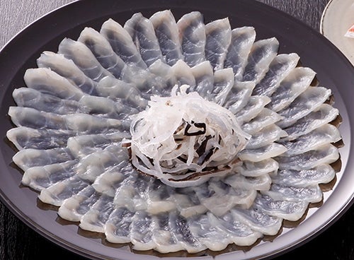 ふぐ 刺し てっさ とらふぐ 皮 4人前 冷凍 大皿 菊盛り ポン酢 もみじおろし 付き てっさ フグ 本場フグ刺し 河豚 関門ふぐ 高級魚 鮮魚本場 下関 山口 冬 旬 お取り寄せ ギフト 贈答 中元 歳暮 お祝い 記念 日指定可