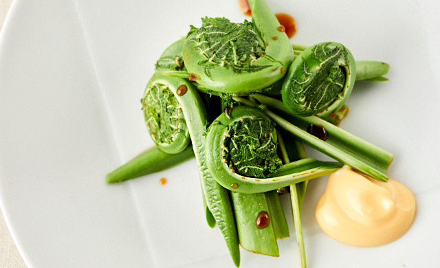 コゴミの呼び名で売られている美味しい山菜クサソテツを野山で見つける時のコツと調理方法 健啖隊- エキスパート - Yahoo!ニュース