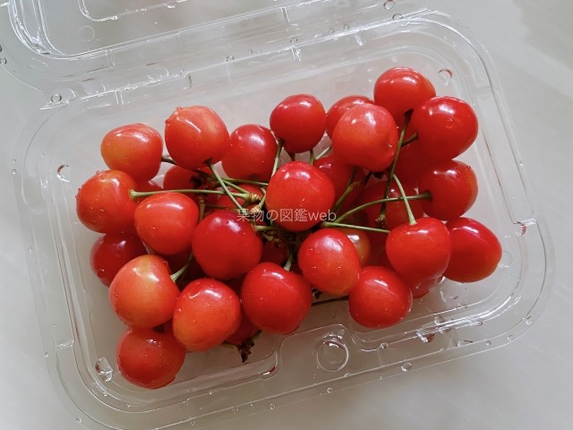 ぐんま食の安全情報 群馬県食品・生活衛生課-花粉症と関連がある口腔アレルギー症候群 No.211スギ花粉が飛散する季節になりました。暖冬の影響で今年の飛散ピークは３月上旬になるといわれています。さて、花粉症の人が果物や生野菜を食べた後に、口の中やノド