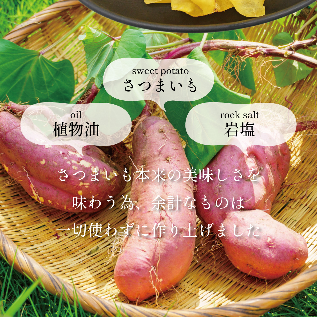 楽天市場 おさっち。しお ファミリーパック国産 無添加 徳島県産 鳴門金時 おやつ チップス おいもチップス スイーツ お菓子 和菓子 さつまいもスイーツさつま芋 和スイーツ : 結わえる 楽天市場店