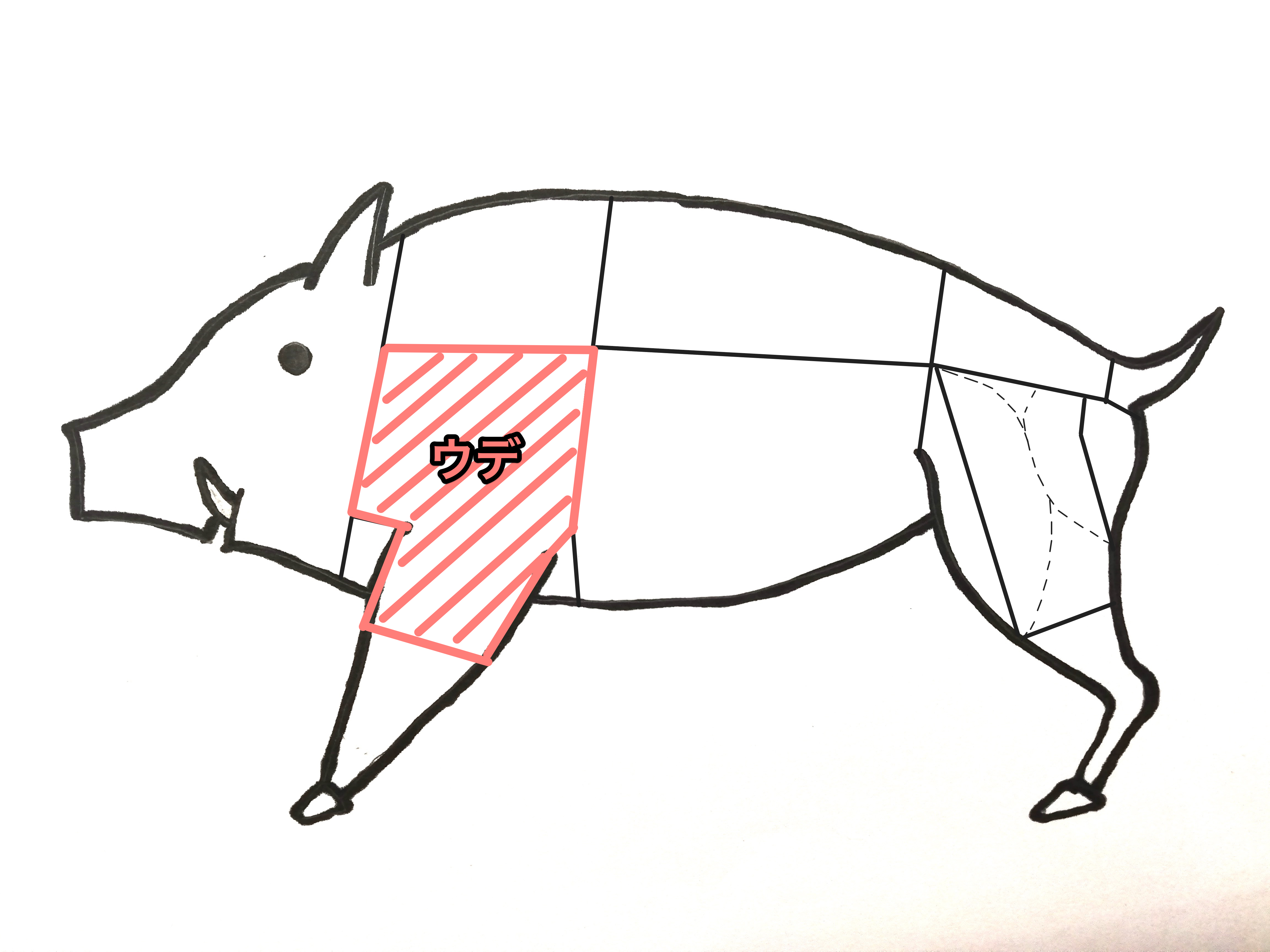 ジビエ処理加工施設「西日本ジビエファーム」で販売するジビエ肉 - 山口宇部経済新聞