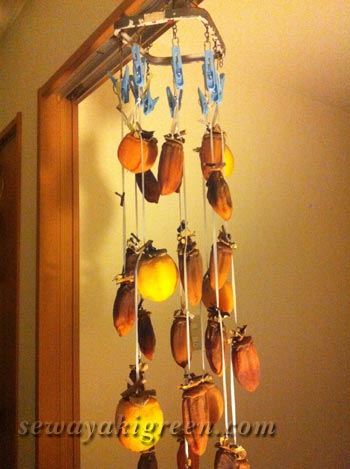 第一弾の干し柿はカビました～トレモロの響きにのせて