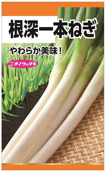 先住ネギ せんじゅねぎ ・白ねぎ：旬の野菜百科