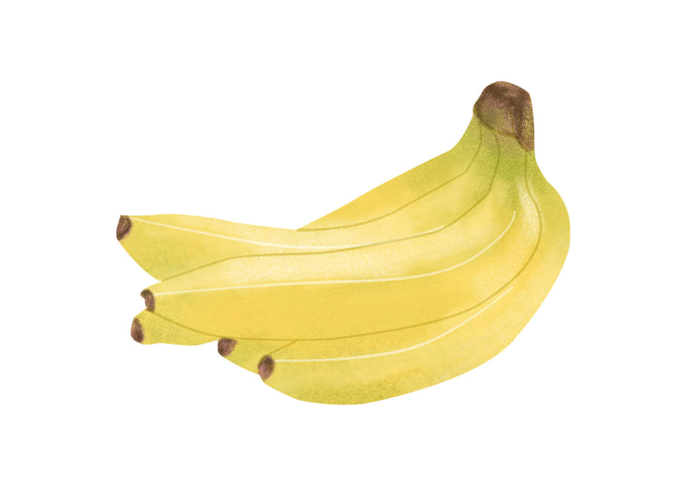 バナナの写真素材209029360 毎月1点無料 フリー のストックフォト イメージマート