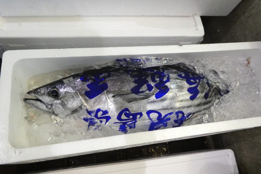 なめたがれい ヒレグロ秋冬の魚 安いけどコラーゲンたっぷり煮付けがおいしい底曳魚さかなのさ 〜魚美味探求