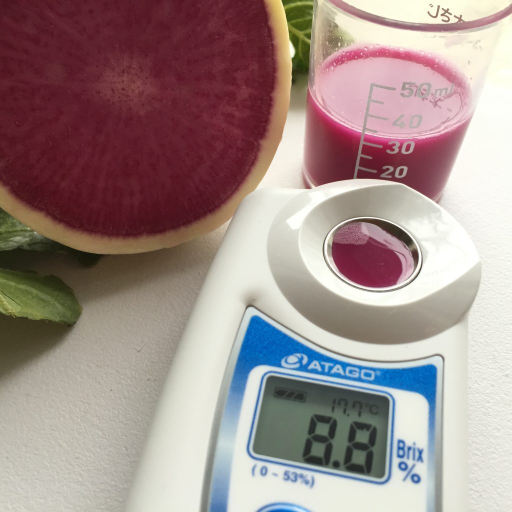 無添加 へきなん冬人参ジュース180ml×3本 H003-036 人参・大根・他