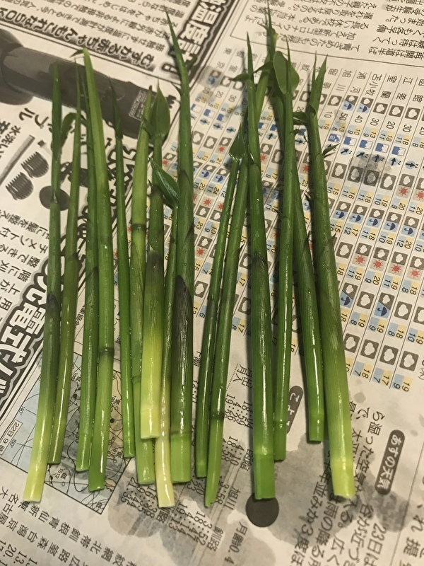 笹竹入荷しました！こんにちは〜！ 今年初の『笹竹』が入荷しました *^^ vvv さすがにびっくり。そっかそんな時期よね。 笹竹 は小指ちゃんサイズのたけのこです。 他に姫竹と呼ばれたりもします。 エグミがなく、すごく上品な味がします。 ちょっと皮をむくのが大変