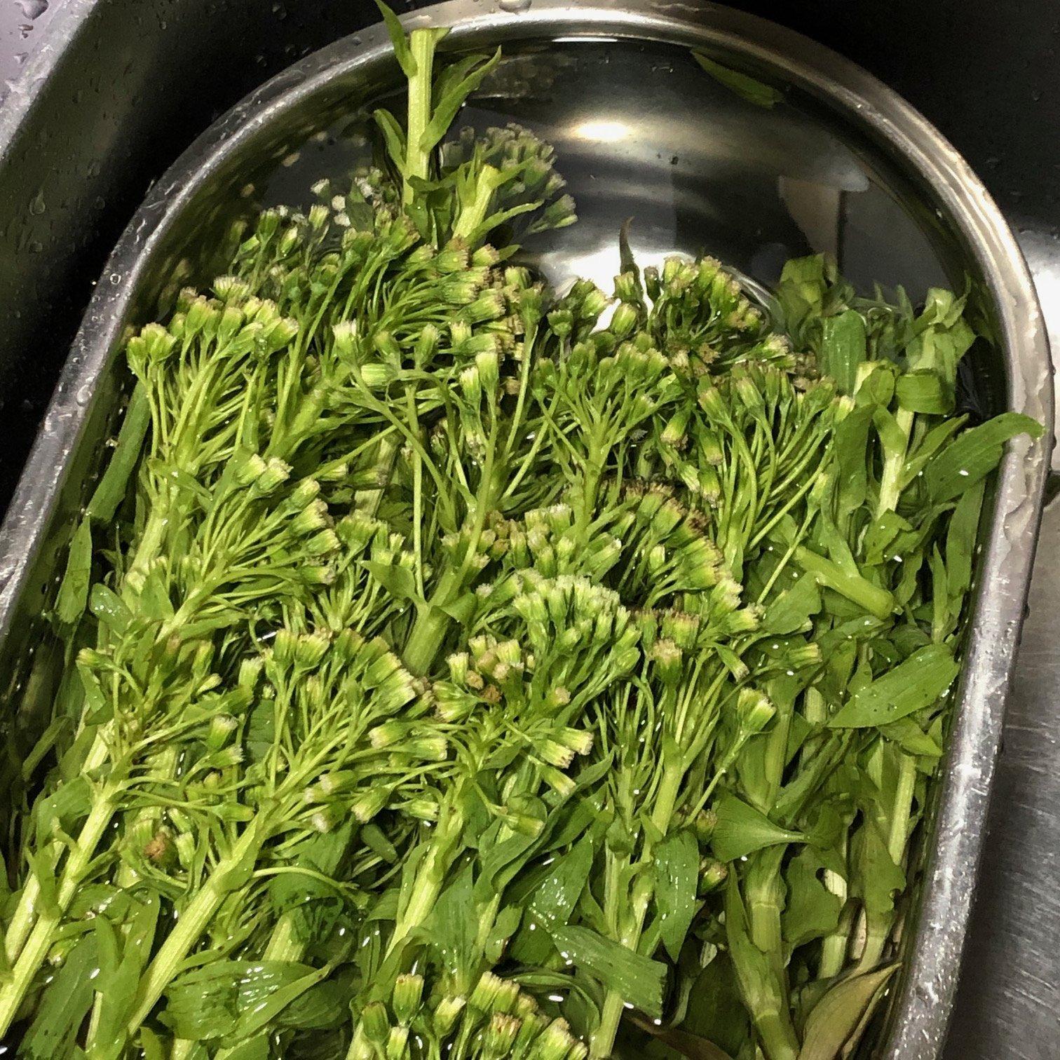 ふきのとうの食べ方 アク抜き＆保存法も！人気レシピ15選の人気レシピ・作り方デリッシュキッチン