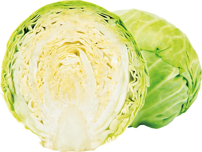 キャベツの外側の葉 外葉 は捨てないで！ 部位別の美味しい食べ方三越伊勢丹の食メディアFOODIE フーディー