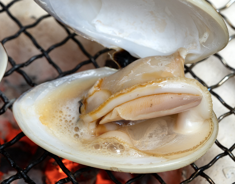 はまぐりって冷蔵庫に入れたら死ぬの？砂抜き方法はじめてちゃんとわかった！私だってていねいに暮らしたい