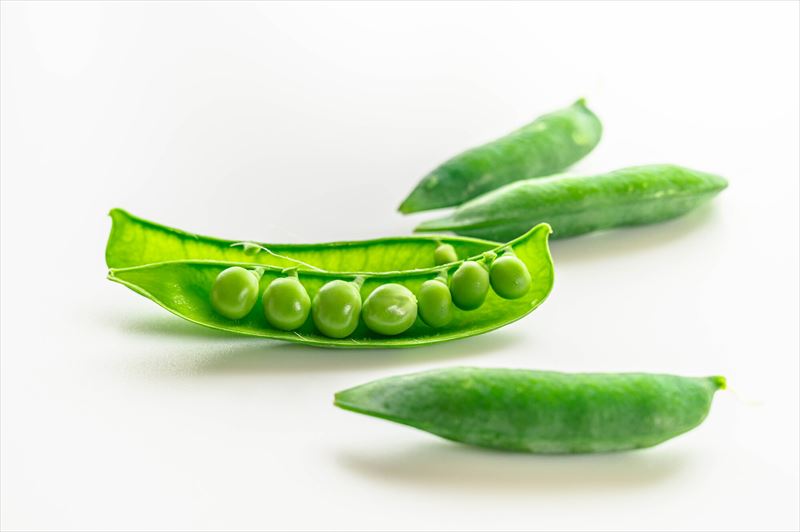 グリーンピースって何の豆？さやえんどう・スナップエンドウとの違いと和歌山との関係性について解説 福BUKURO