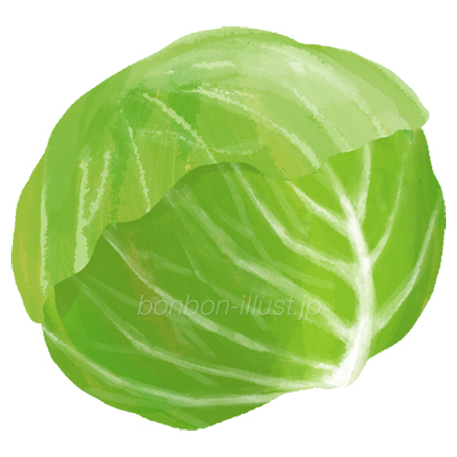 毎週月曜日朝に公開しております、 今週のまちがい探しですが、今週はキャベツ畑のイラストになります。旬の春キャベツおいしいですよね。 ＊まちがいは3つ。ぜひ探してみてくださいね。答え合わせは天然生活webをご覧くださいませ。 ＊ 天然生活webは、@tennenseikatsu