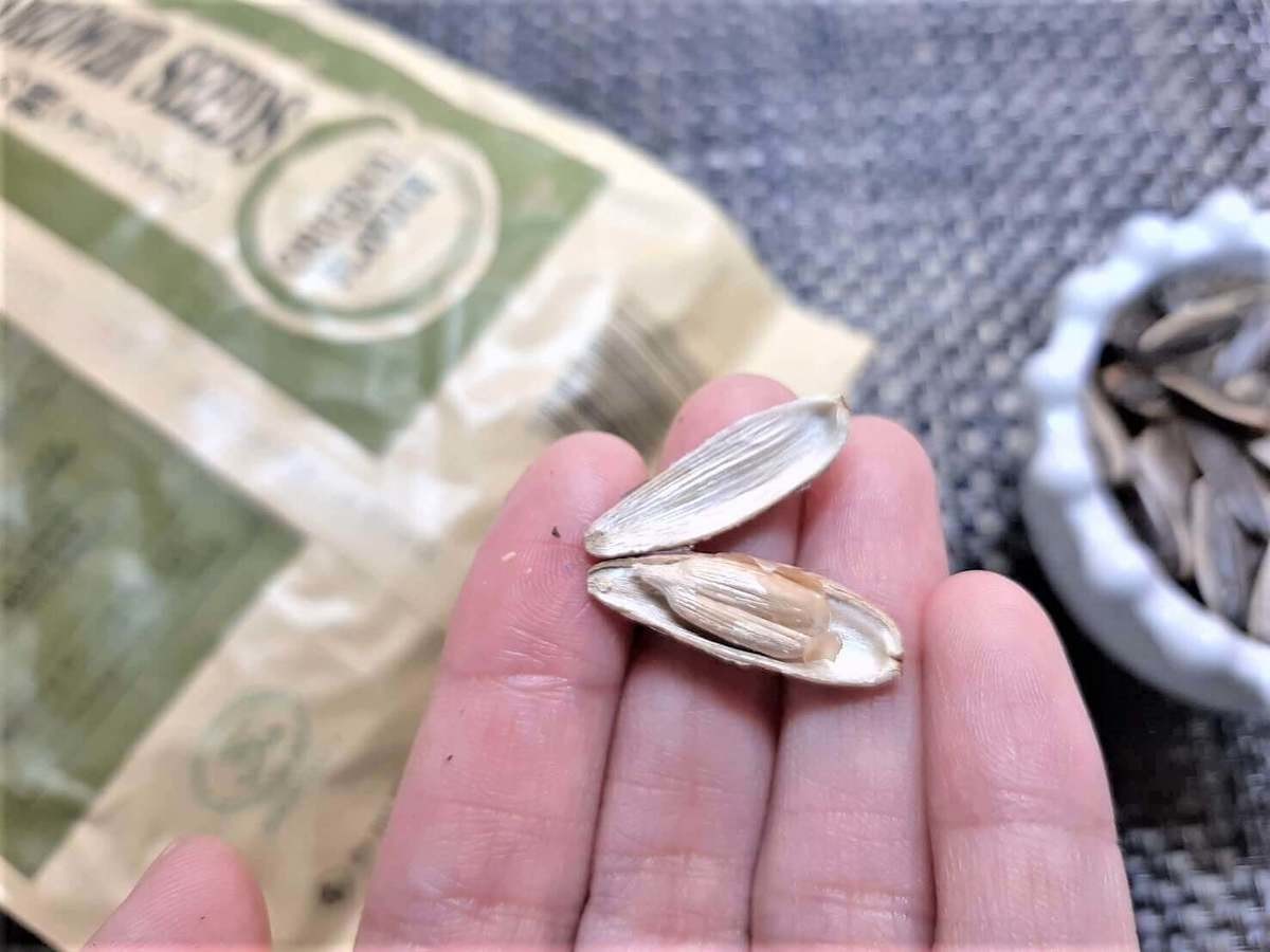 業務スーパーの「チャチャひまわりの種」から色々学ぶこと。 – KEISUI ART STUDIO