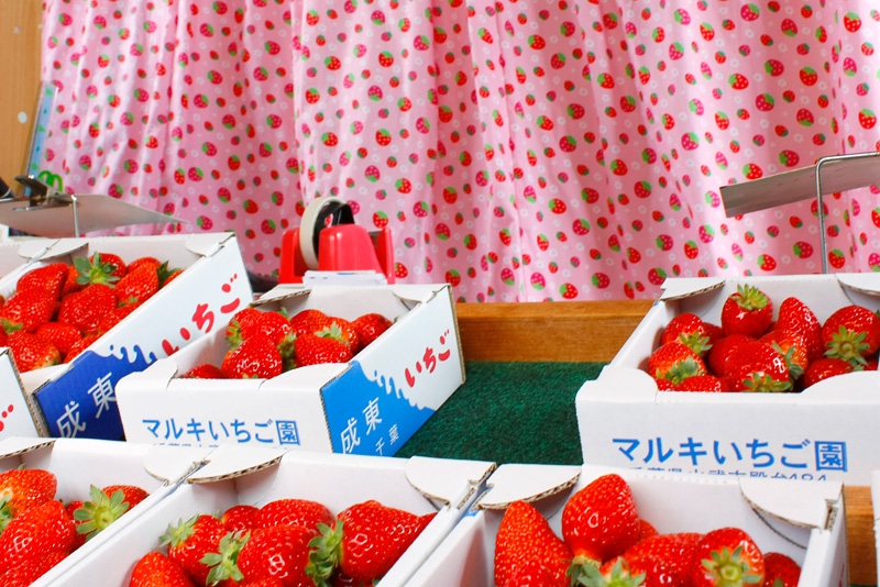 2025年 市東農園いちごの直売 - 出発前に知っておくべきことすべて - トリップアドバイザ
