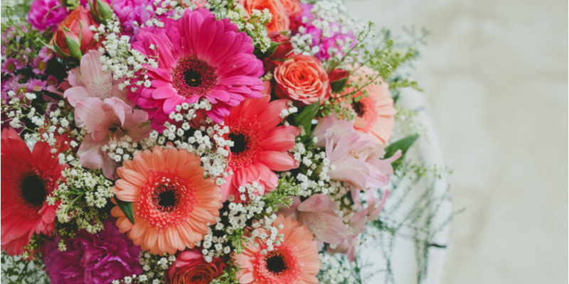 ガーベラの花言葉と由来色・本数・種類別、英語の花言葉、怖い意味も？HanaSaku