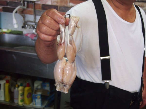 食用 カエル 蛙 肉の写真素材 - PIXTA