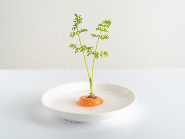 野菜の切れ端で食費節約！再生野菜「リボベジ」がエコすぎる！ - ブックオフオンラインコラム