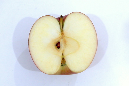 リンゴ デッサンの描き方～観察から完成までのプロセスを解説アートスクール オンライン講座 好きを学んで夢カタチに