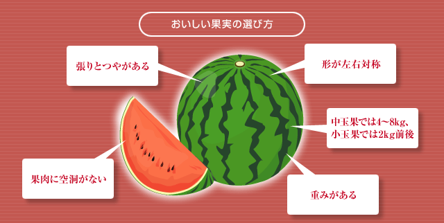 こだますいか桜川市観光協会公式ホームページ