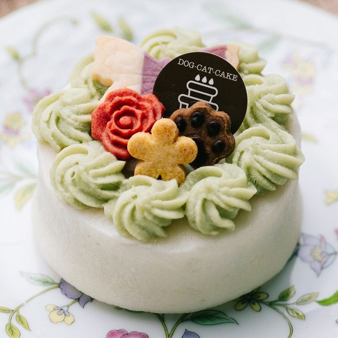 愛犬用手作りケーキ🎂, ・, ・,材料 6cmセルクル1個分, ・さつまいも1 2本 約100g , ・かぼちゃ 1 8個 約30g , ・無脂肪ヨーグルト40g,脂肪分の低い生クリームでも代用可 , ・お好みのベリー 冷凍可3粒程度,・ミント適量,作り方 , 1.蒸し器でさつまいもとカボチャを, 柔らかくなるまで蒸す,