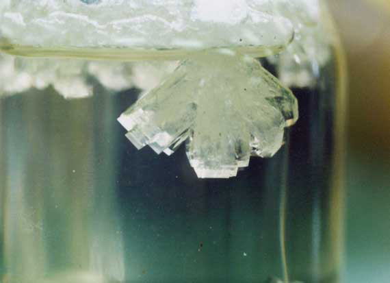 1minサイエンス 塩と砂糖の結晶作り