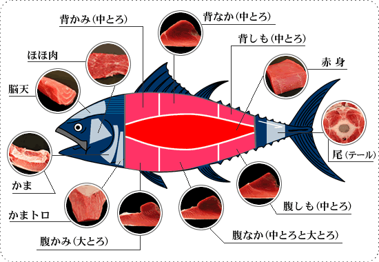 見かけたら即買い、マグロの尾の身で「刺身定食」丸ごと小泉武夫 食マガジン