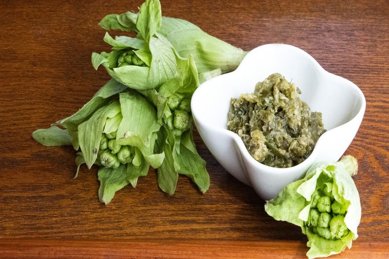 緑鮮やかなフキ味噌の作り方 完全版おいしい山菜＆きのこ図鑑