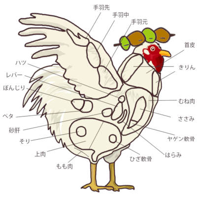 飛騨地鶏 焼き鳥 10本セットB 部位5種類 もも 皮 ふりそ