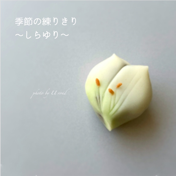 季節と出逢う「夏の和菓子」 : SHUN GATE : 日本の食文化を紹介