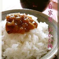 今、梅おにぎりがアツい！巷で人気の梅おにぎりレシピ3選 —家族みんなで楽しめる梅おにぎりを作ろう♪ - 紀州南高梅 の魅力とお得情報プラムレディ公式ブログ