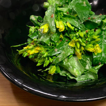 菜の花〜爽やかな風〜 信州いいね大賞