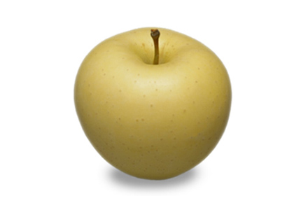 りんご の常識を変える☆葉とらず栽培 本場青森ゴールド農園 送料無料 きいろの 葉とらずりんご シナノゴールド2kg ファーム 家庭用 5-9玉訳あり ワケアリ りんご ゴールド農園※産地直送のため同梱不可※常温便 「GOLD」